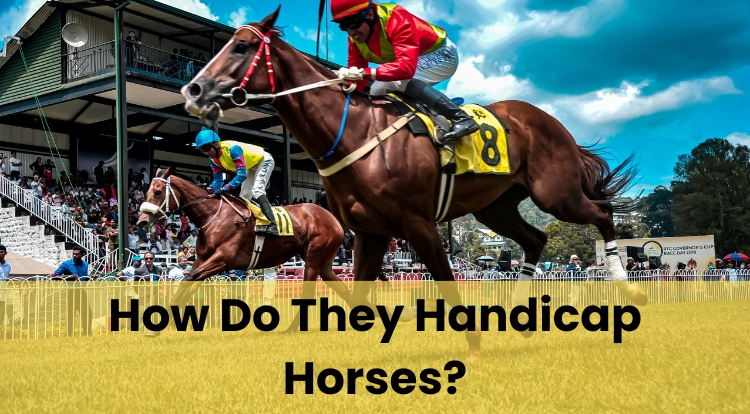 How Do They Handicap Horses?