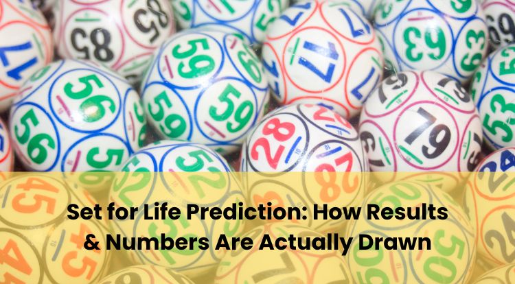 Set for Life Prediction: How Results & Numbers Are Actually Drawn