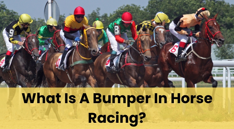 What Is A Bumper In Horse Racing?