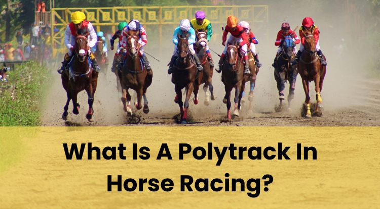 What Is A Polytrack In Horse Racing?