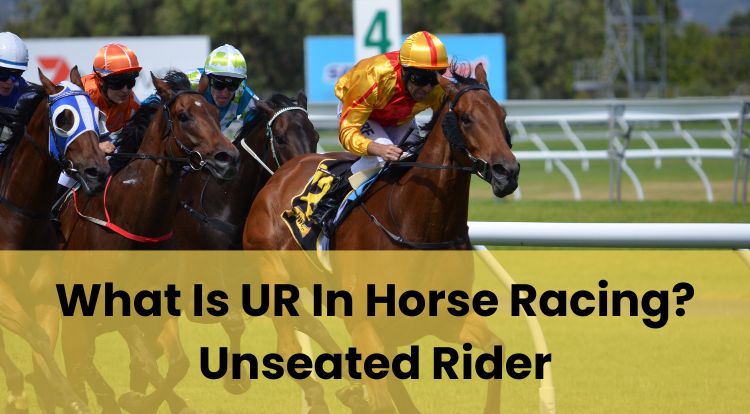 What Is UR In Horse Racing? Unseated Rider